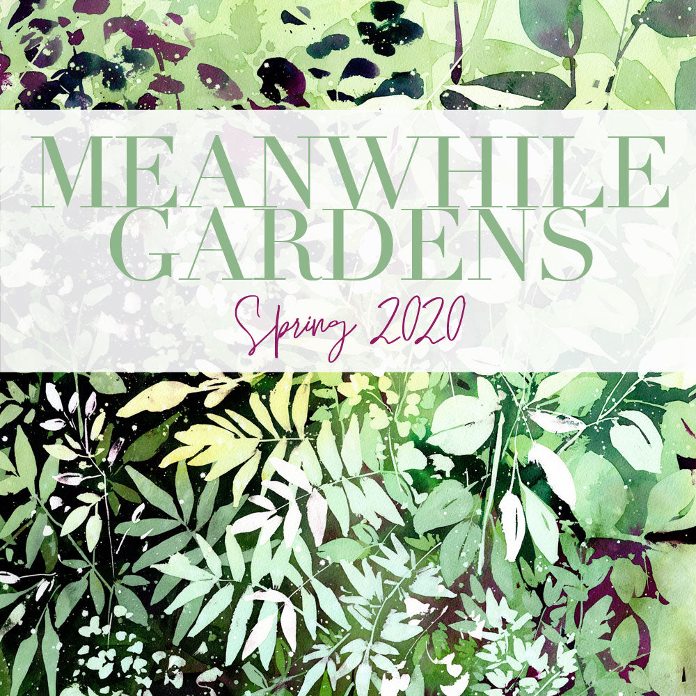 Meanwhile Gardens, botanical art collection by CreativeIngrid | Ingrid Sanchez. Spring 2020.