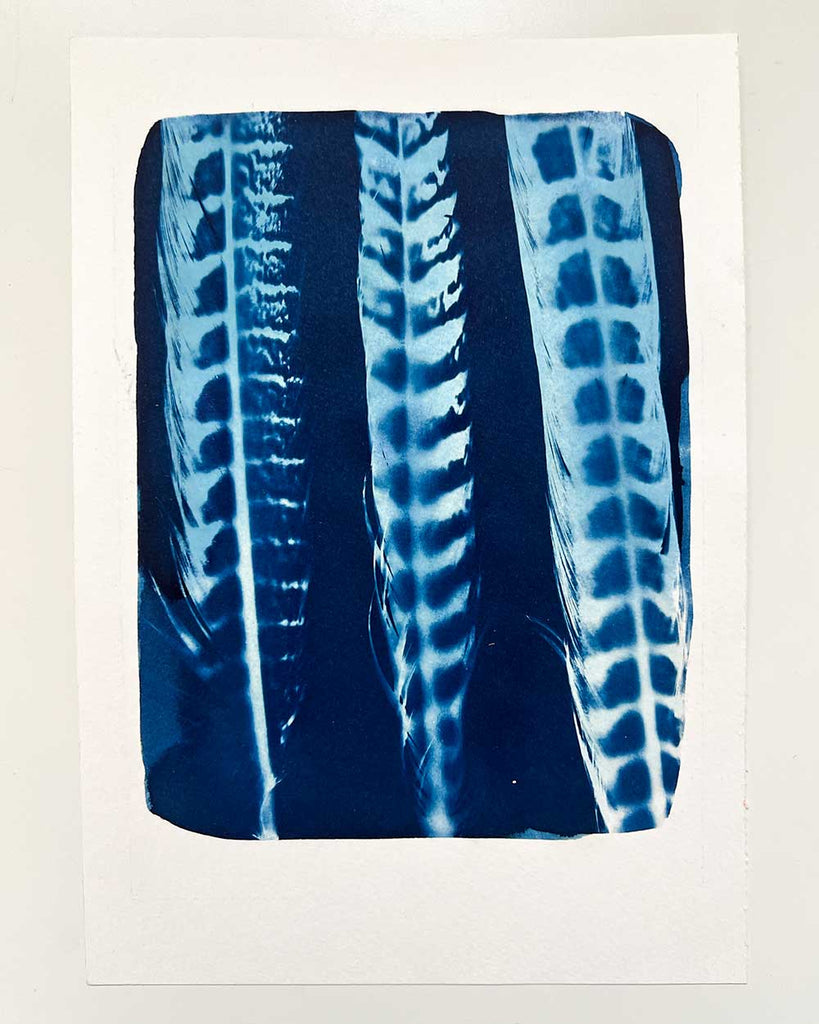 Blue and white feathers on a white background, wall art.
