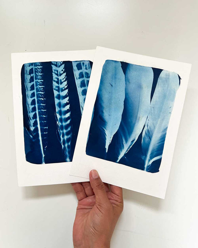 Two cyanotype prints of feathers held by a hand on a white background.