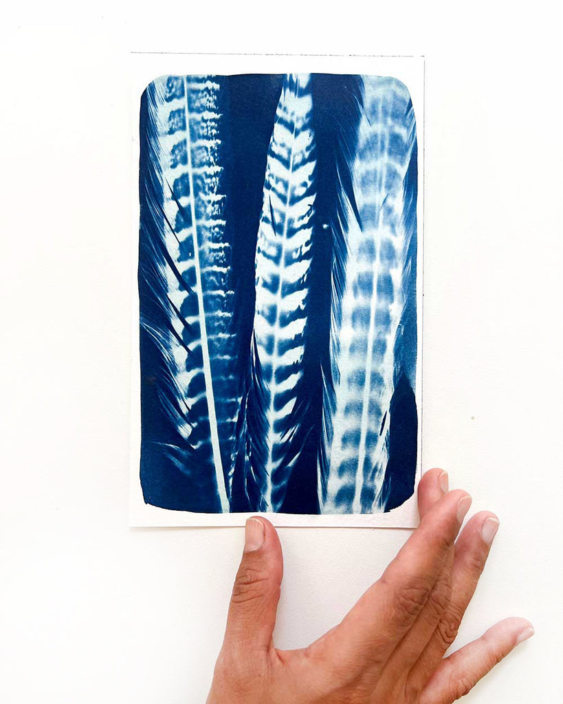 Held in Blue, Feather Cyanotype by Ingrid Sanchez