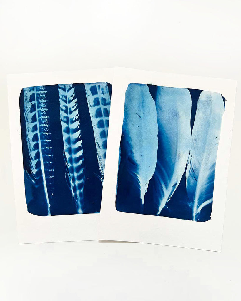 Whispers in Indigo,  Feather Cyanotype Diptych by Ingrid Sanchez, London.