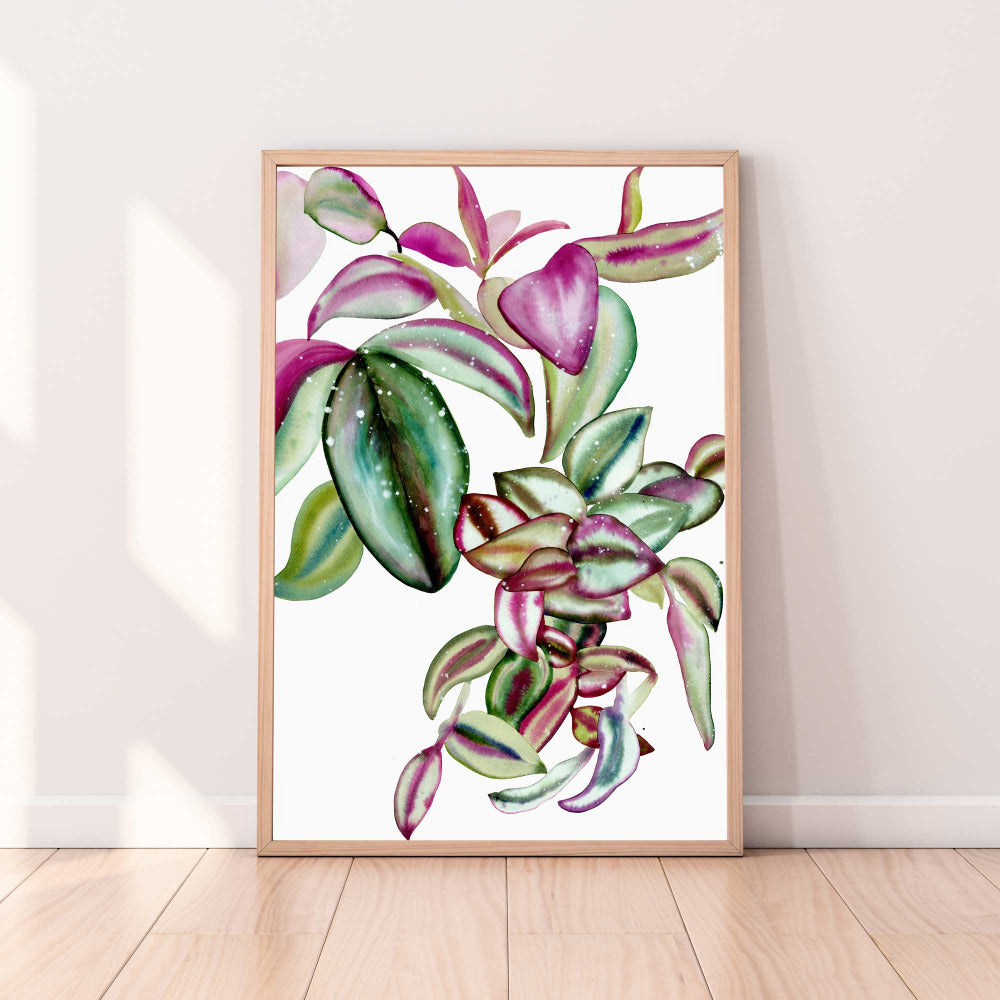 Vibrant art print of a hanging tradescantia plant with thriving leaves in a variety of colors, from pale greens, blue, soft pink and burgundy. CreativeIngrid Botanical Art Prints.