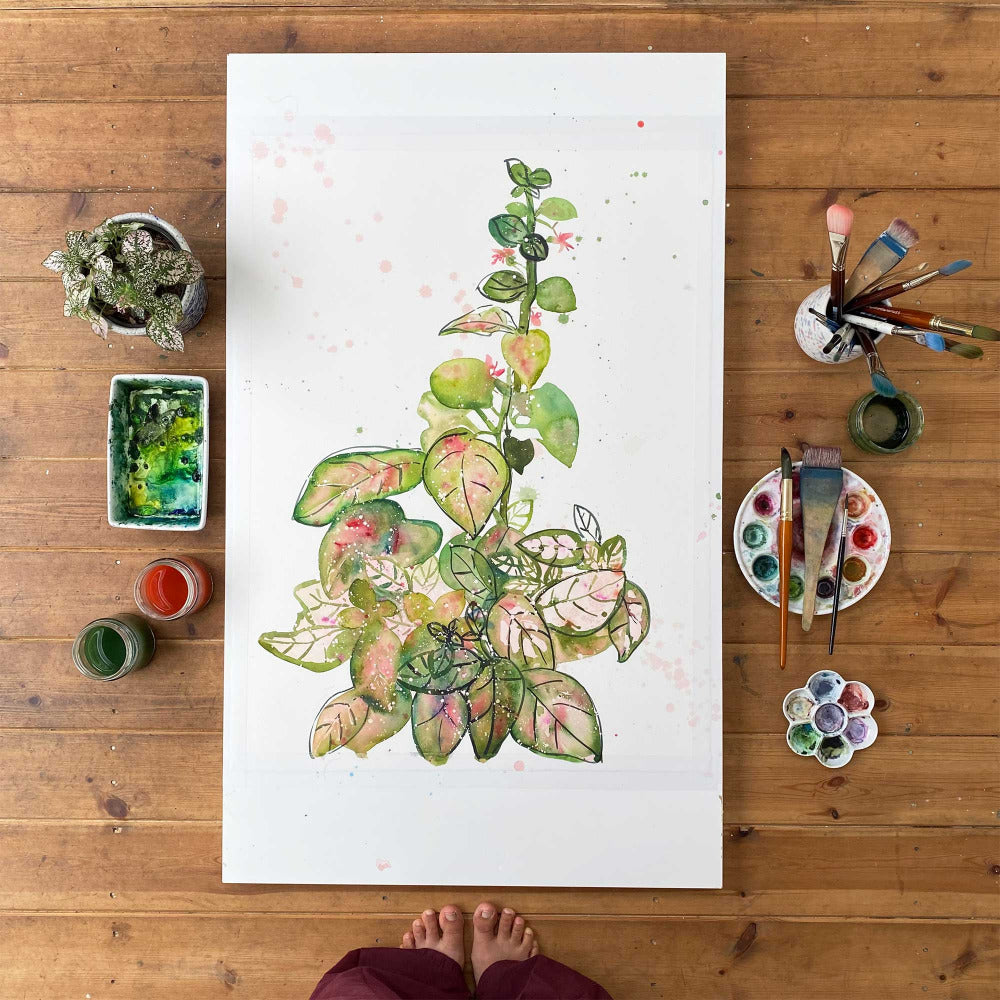 'Pink Polka Dot' is the sixth painting of the collection 'Portraits of plants, Autumn 2021'. Ingrid Sanchez, original botanical watercolor art.
