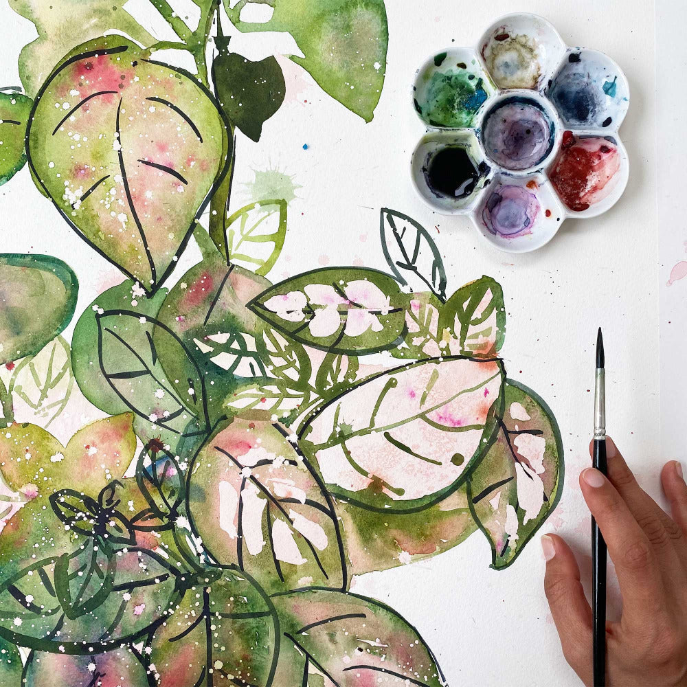 Plant portrait painting of a Pink Polka Dot using a light pink, different shades of greens and playful leafy shapes with black ink. Ingrid Sanchez original art, London 2021.