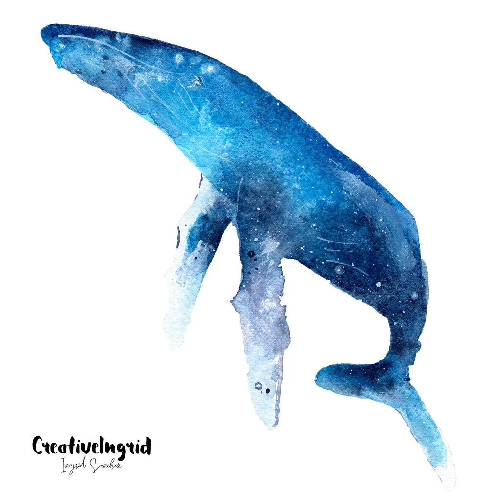 Whale Wall Sticker | CreativeIngrid - CreativeIngrid | Ingrid Sanchez